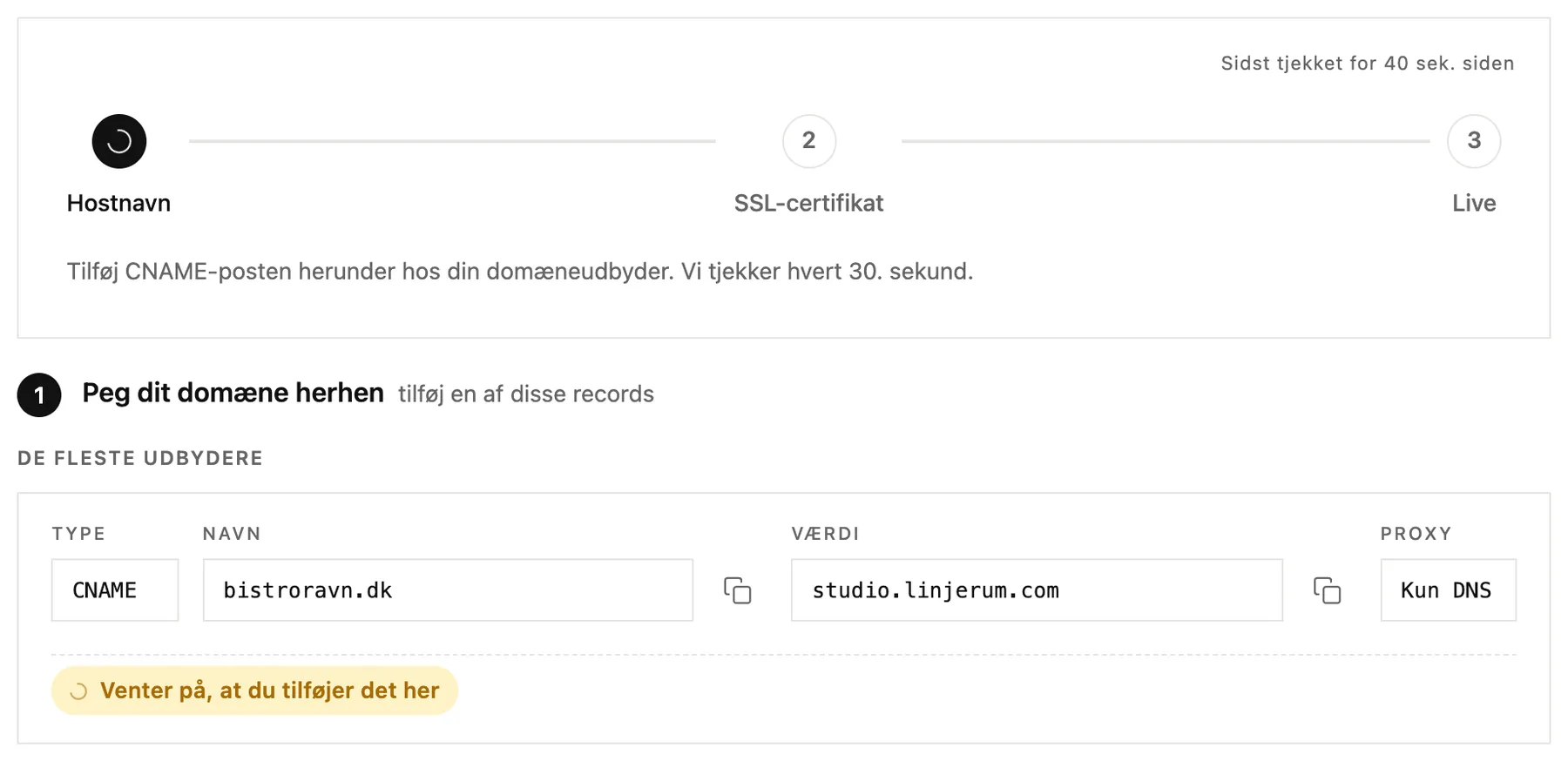 Trinene og CNAME-recorden, du skal tilføje hos din domæneudbyder