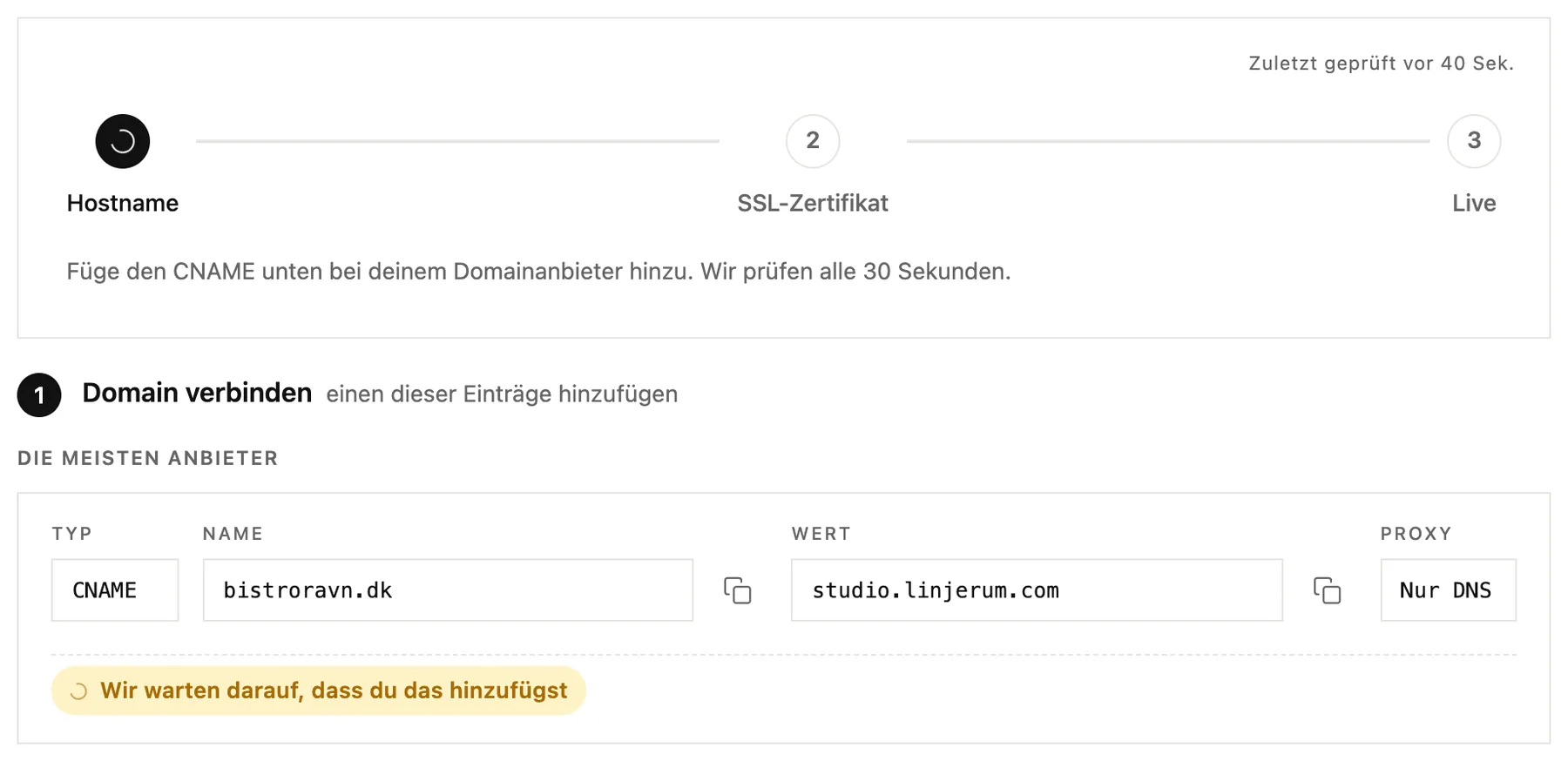 Die Fortschrittsschritte und der CNAME-Eintrag, den du bei deinem Domainanbieter hinzufügen musst
