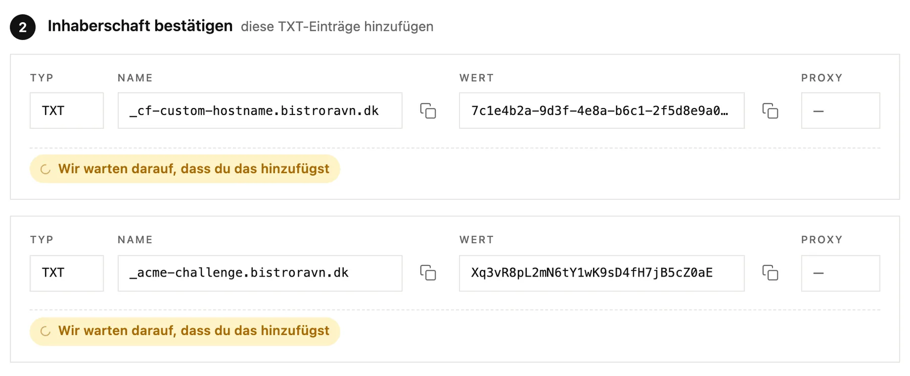 Die TXT-Einträge, die bestätigen, dass dir die Domain gehört