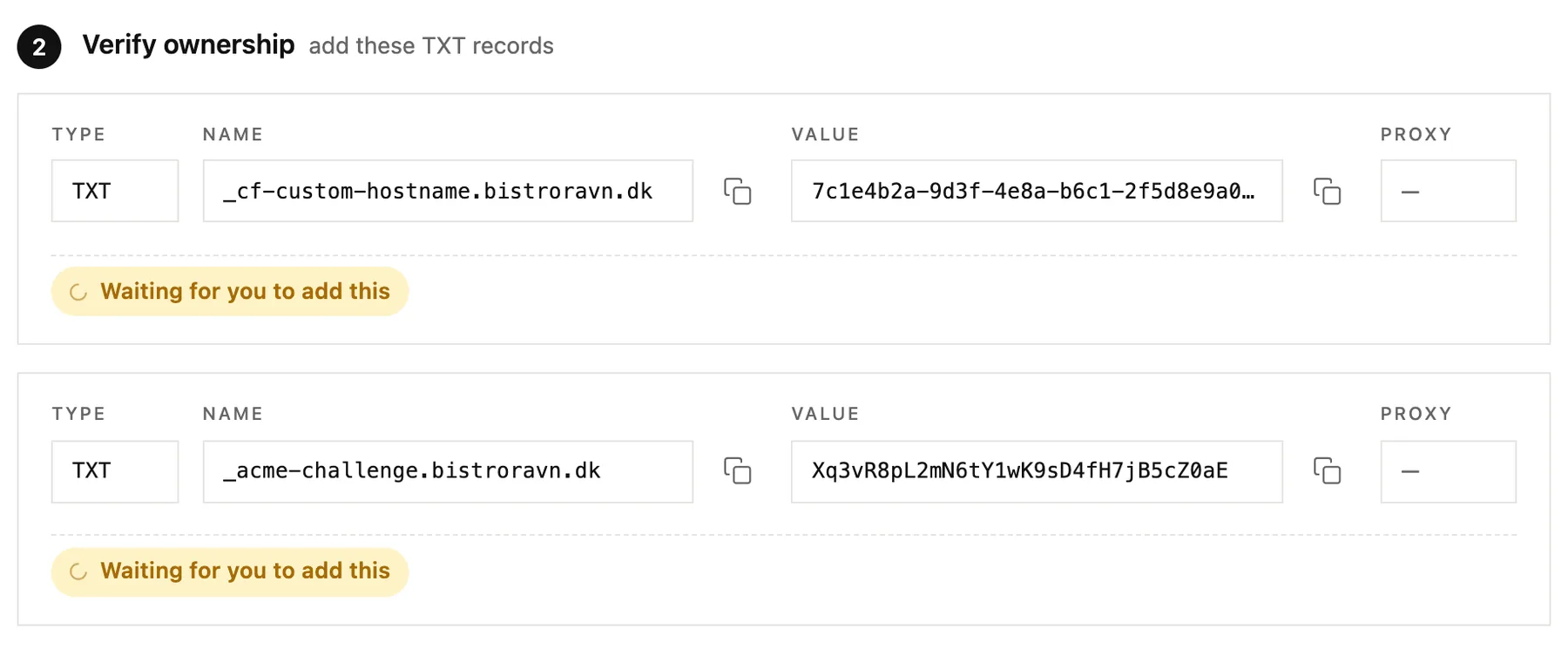 The TXT records that prove you own the domain