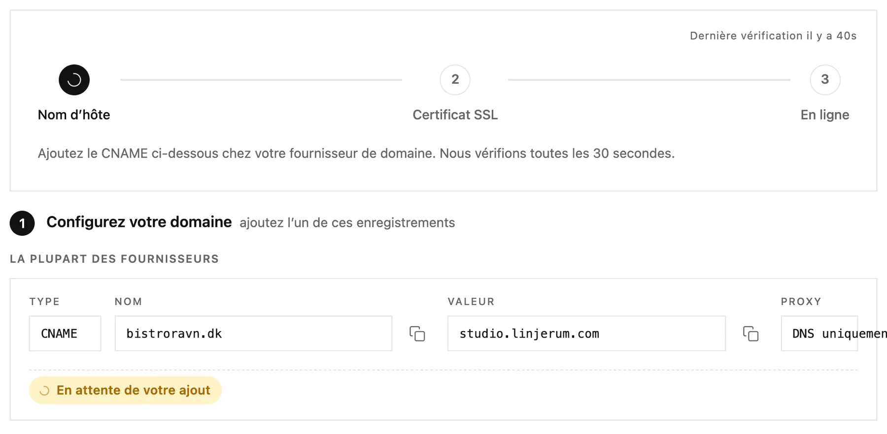 Les étapes de progression et l’enregistrement CNAME à ajouter chez votre fournisseur de domaine