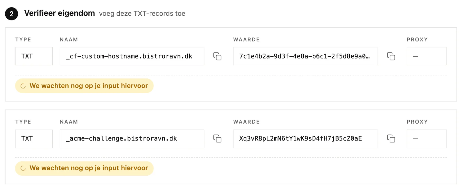 De TXT-records die bewijzen dat het domein van jou is