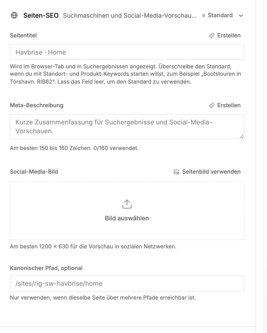Der Bereich [Seiten-SEO] mit Seitentitel, Metabeschreibung und Vorschaubild